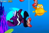 Chomper